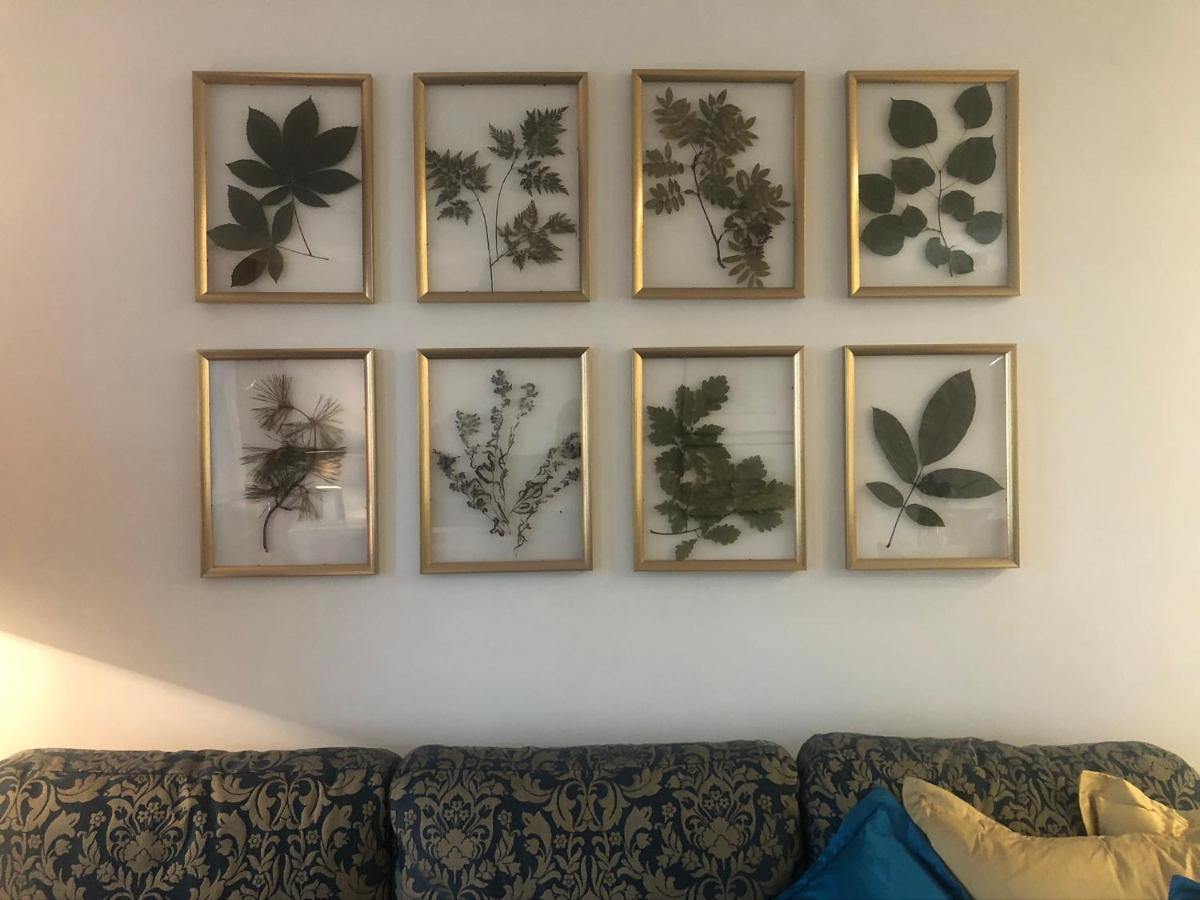 קונטה הורה Villa Magdalena מראה חיצוני תמונה